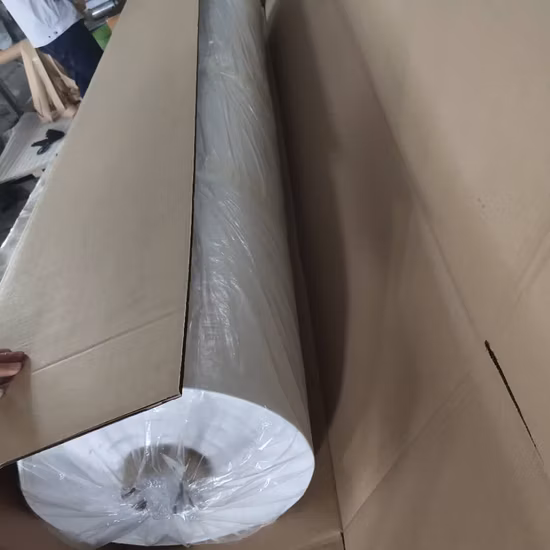 Film plastique PE blanc ignifuge pour film rétractable de construction